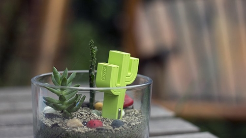 Cactus USB Car Charger - $20