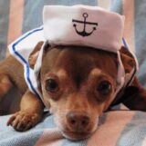 Adorable Nautical Pet Costume Set