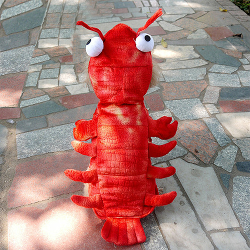Lobster Pet Costume - $32